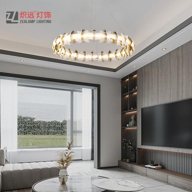 Decorative Modern LED Lighting Circle Pendant Lamp