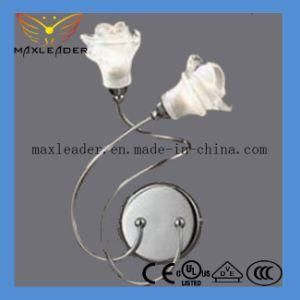 2014 Hot Sale Wall Lights CE, VDE, RoHS, UL Certification (K-MB131813)