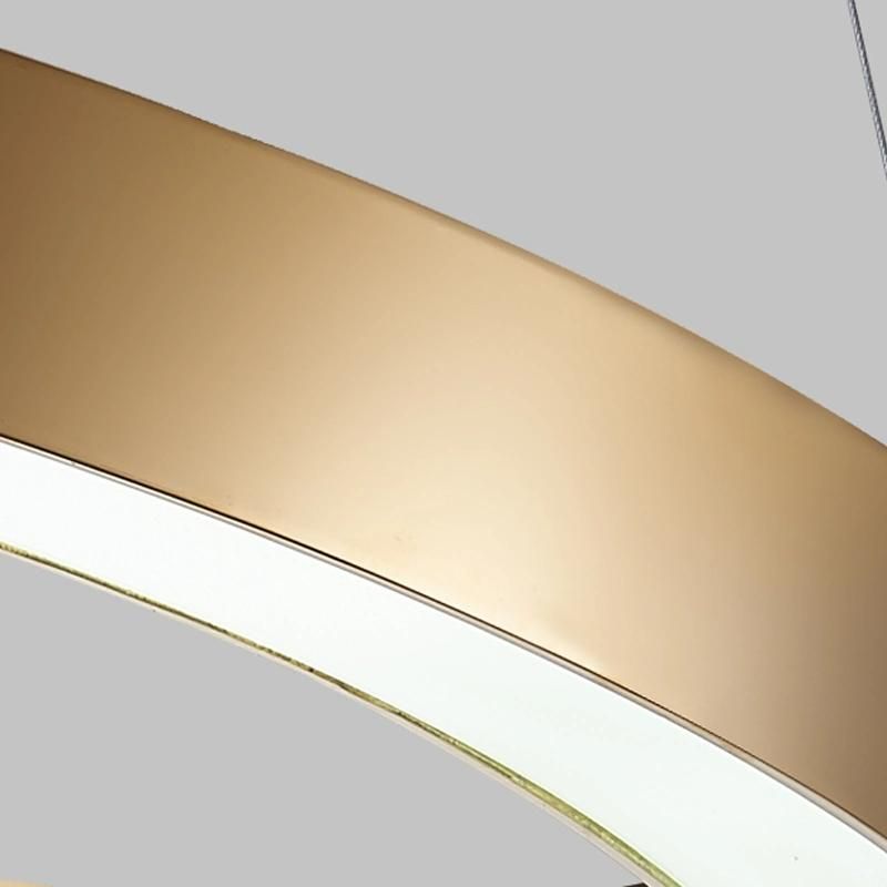 Custom Made Project Hotel Lobby Circular Ring LED Pendant Light
