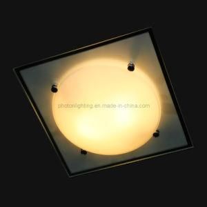 Ceiling Light / Ceiling Lamp (PT-E27 219/2)