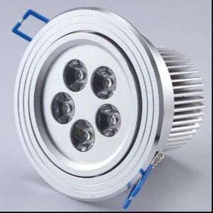 5W LED Ceiling Light/Down Light (SW-00DL5X1W-01)