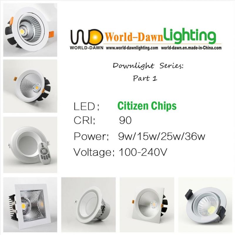 Twins Ceiling Office Home COB LED Downlight