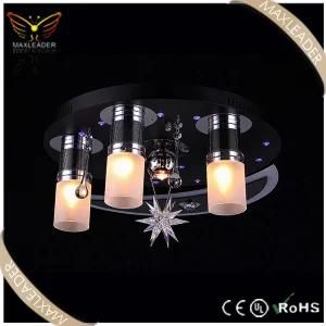 2014 New Hot sale modern designer Fancy Lamp (AG093 )
