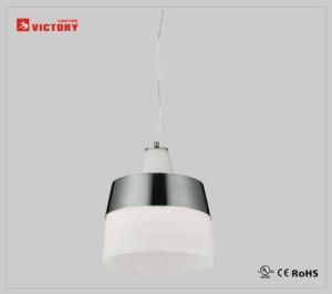 Modern Interior Lighting Fixture Decorative Hanging Pendant Light