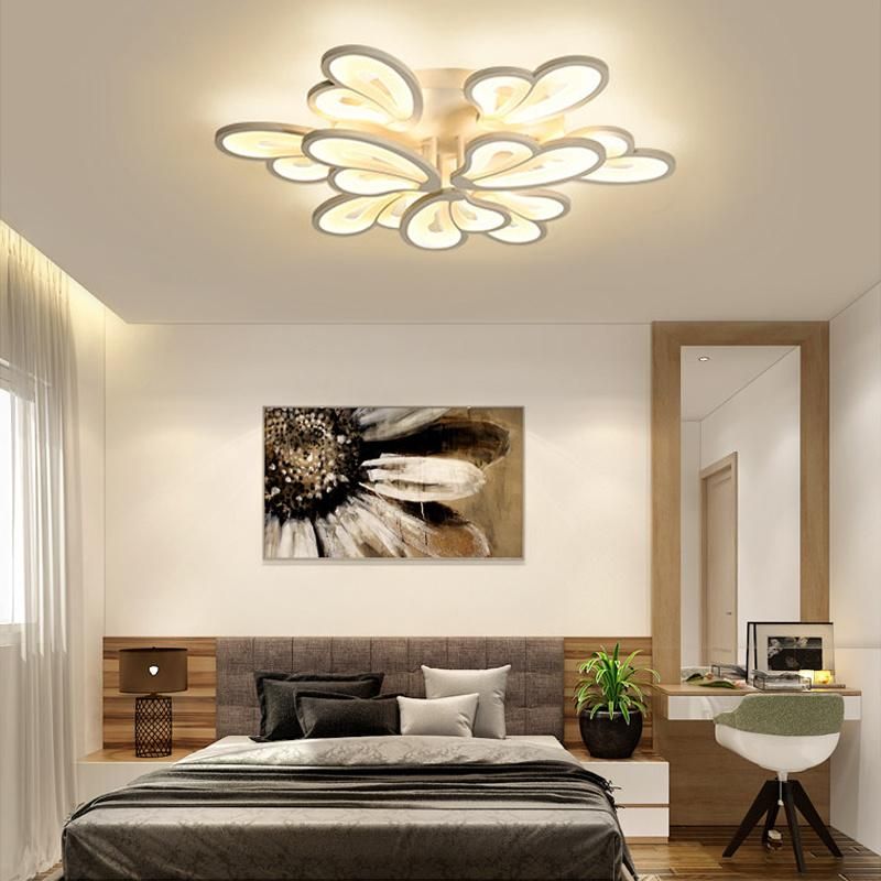 Standard Acrylic Ceiling Light Fixture for Living Room Bedroom Lighting Fixtures (WH-MA-51)