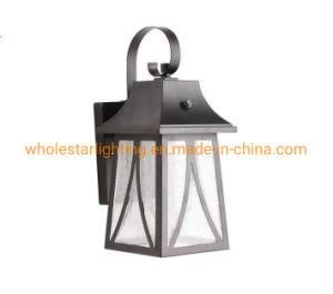 Outdoor Glass Wall Lamp (WHW-116)