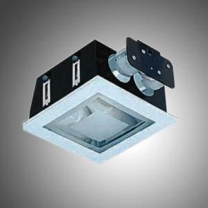 Horizontal Square Down Light (SW-FT040AG)