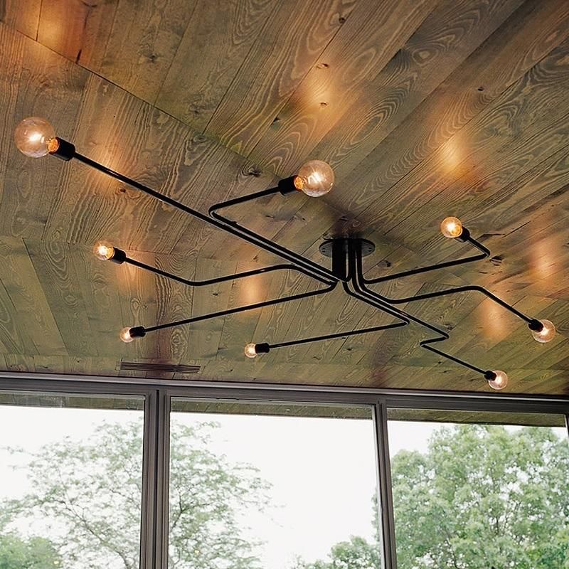 Vintage Retro Industrial Ceiling Lighting for Indoor Home Lighting Fixtures (WH-LA-12)