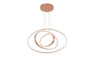 Decorative Commercial Aluminum Modern Linear Circular Pendant Light, Ceiling Light,