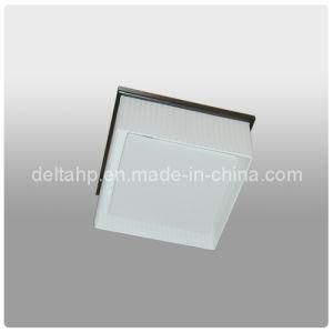 Square Ceiling Lamp for Home Decor (C5006017)