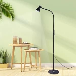 Metal Standing Lamp with Remote Living Room Floor Lamp LED