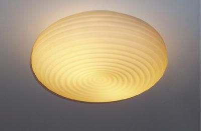 Basic Round Ceiling Lamp (MD-9021)