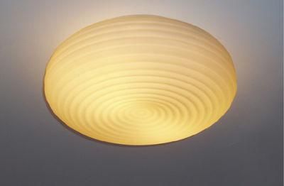 Basic Round Ceiling Lamp (MD-9021)