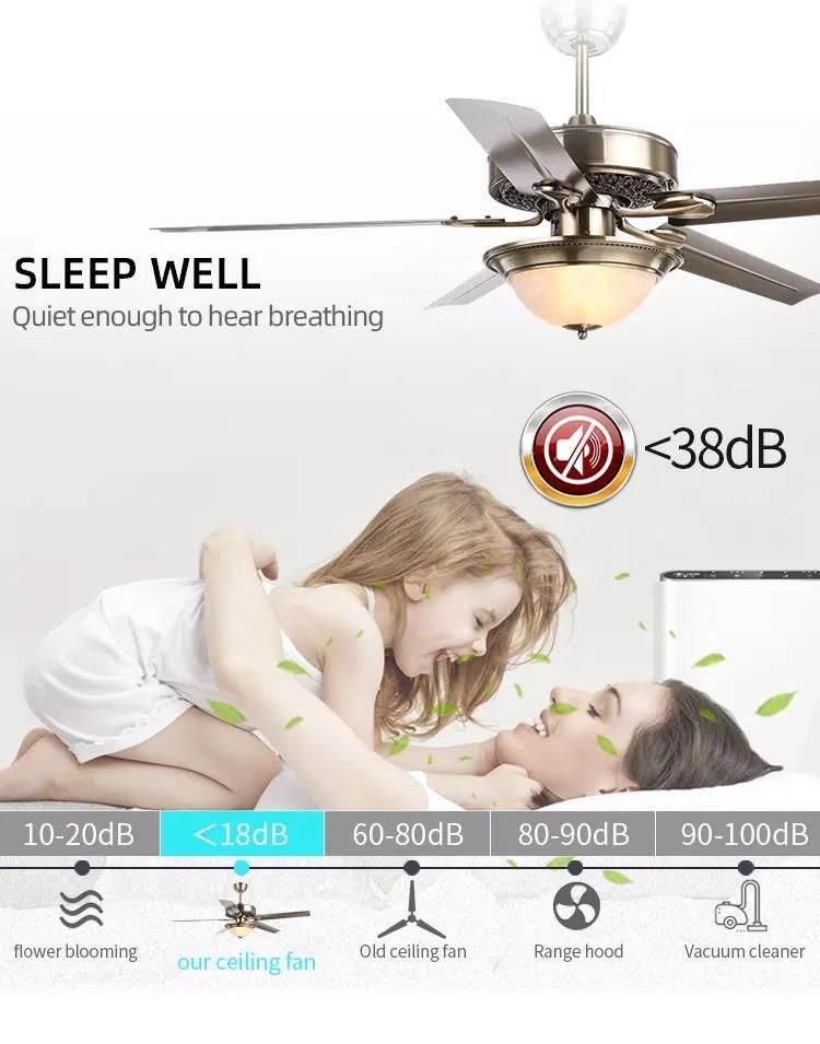 Europe Style 52 Inch DC Motor Ceiling Fan Home Decorative Ceiling Fan with LED Light