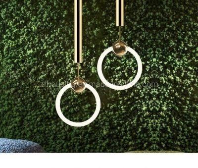 Shiny Round Ring LED Hanging Lamp Chandelier Modern Pendant Lighting Zf-Cl-088