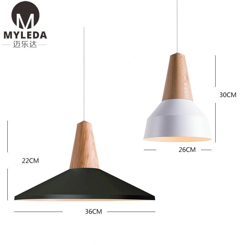Colorful Hotel Project Decoration LED Pendant Lamp
