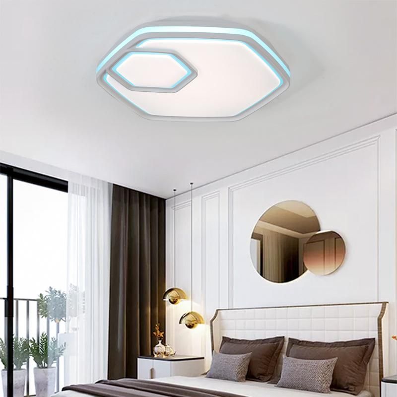 China Style Indoor LED Decoration Light LED Pendant Ceiling Droplight