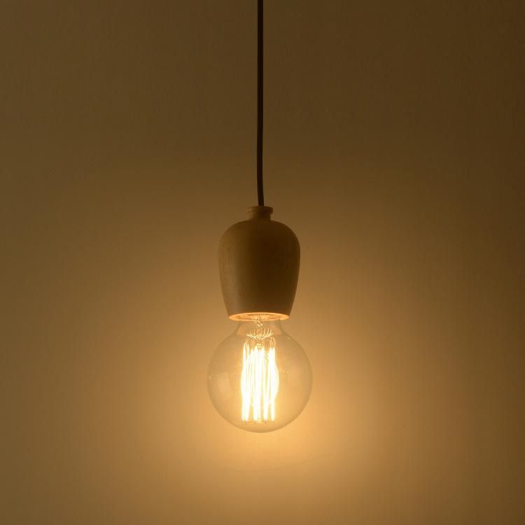 LED Modern Decorative Ceiling Hotel Indoor Hanging Pendant Lamp (TP-D7006-B)