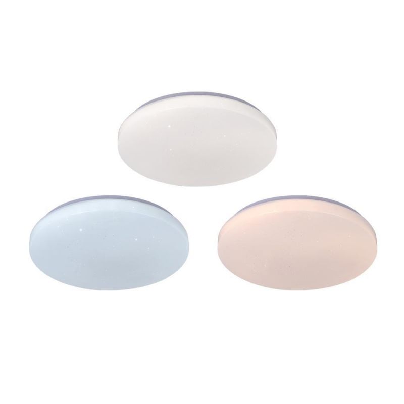 Nordic Modern Indoor Lighting Remote Control LED Round Ceiling Light