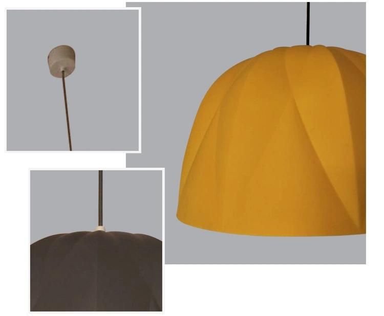 Modern Indoor Decoration Hanging Lighting Modern Pendant Lamp