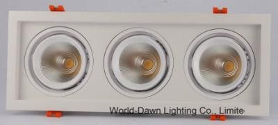 3*20W Recessed COB Ceiling LED Downlight (WD-1043A)