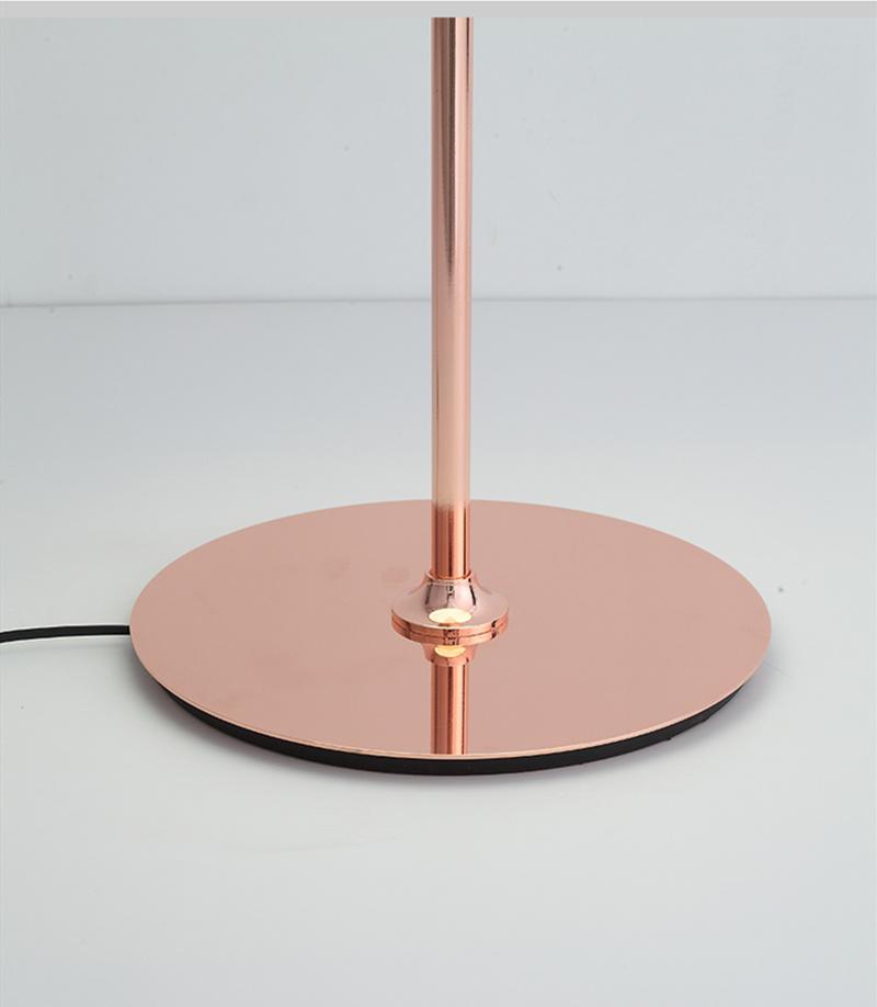 Modern Lighting LED Floor Lamp Smoke or Copper Glass Standing Lamp LED Floor Lamp (WH-MFL-159)