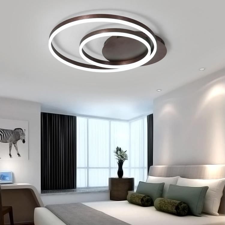 Modern Lights Ring Living Room Bedroom Modern Light Electrical