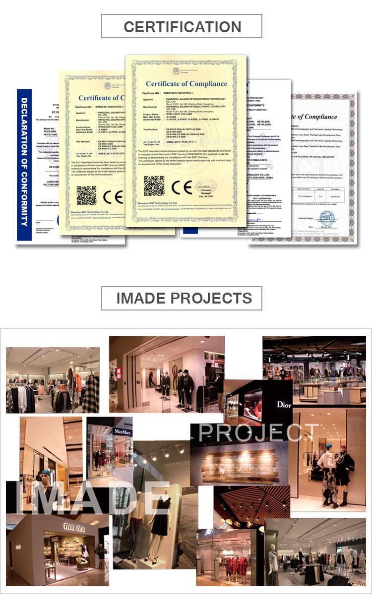 12W 20W Embedded Ceiling Light Double Head LED Downlight 2700K 3000K 4000K 6500K