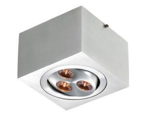 LED Ceiling Lights (LED-201711F)