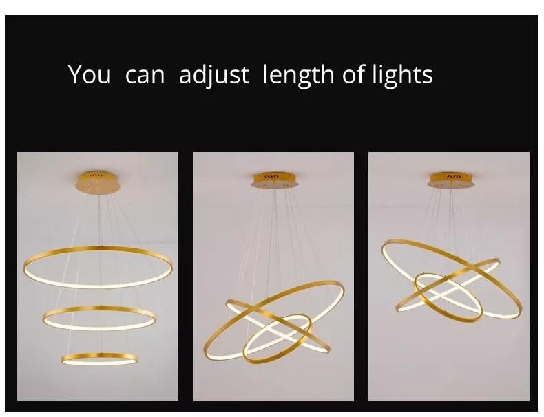 Indoor Modern Circular Ring Chandelier 1 - 3 Rings Pendant Light Home Hotel Lighting