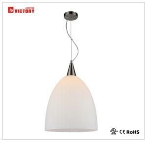 Modern Simple Indoor New Design Pendant Lamps H-3456