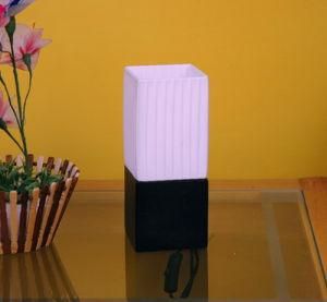 Elegant Mini Desk Light for Decorative (C5003020)