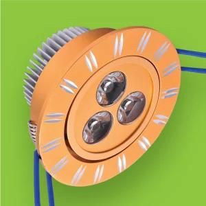 Downlight LED (RAY-07W3)