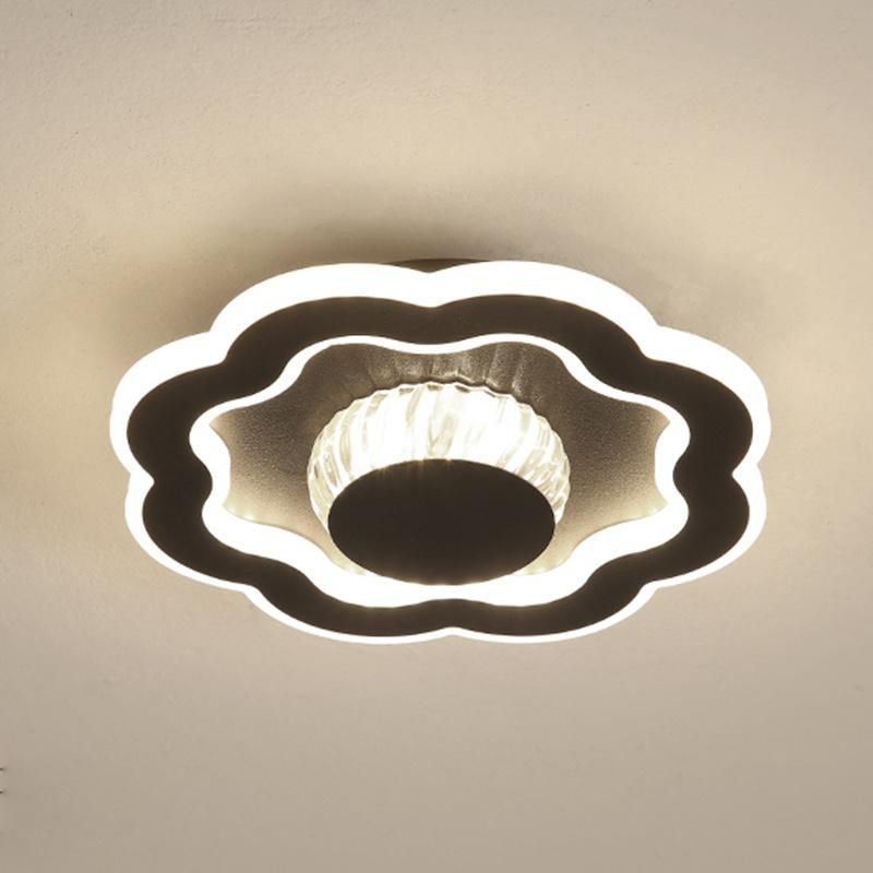 Living Room Corridor Light Modern Simple Personality Dressing Room Ceiling Lamp LED