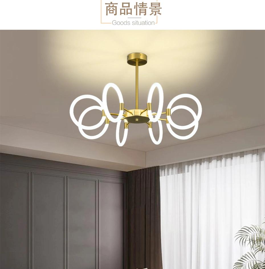 Modern Simply Style Fashion Art Decoration Lamp LED Ceiling Pendant Panel Lamp