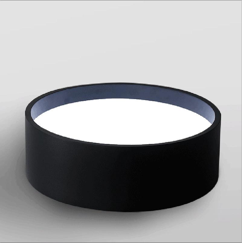 Modern Simple Decorative LED Ceiling Light