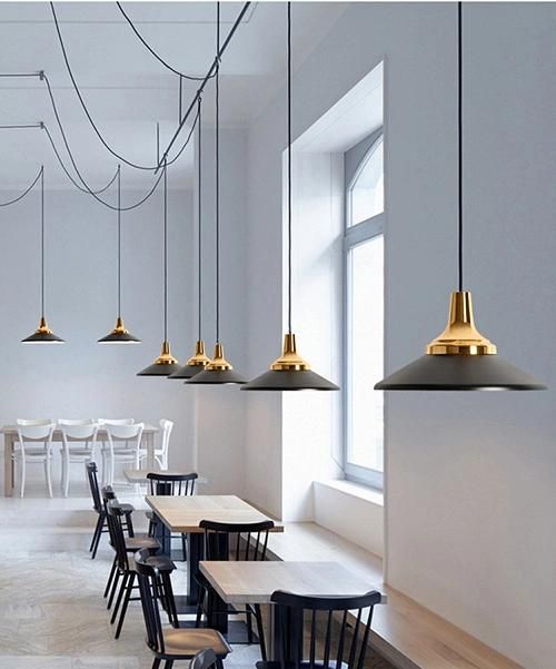 Modern Hanging Pendant Lamp for Interior Decorative Lighting