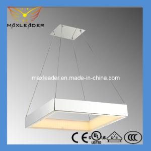 2014 New LED Lighting Modern Stylish LED Lighting (MD9842-1S)