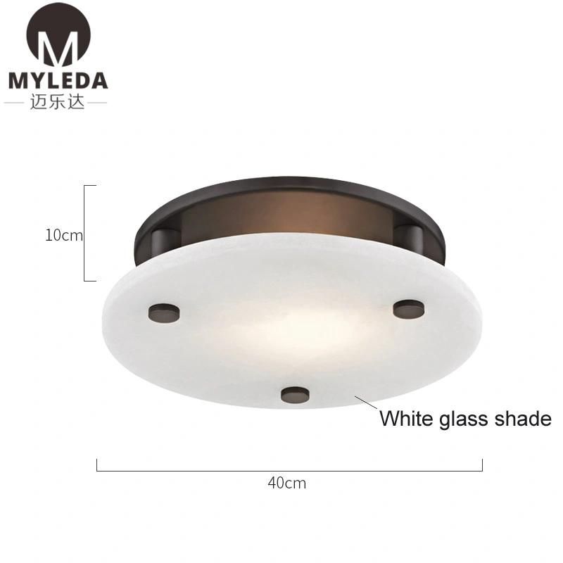 Kitchen Modern Flush Mount LED Ceiling Light