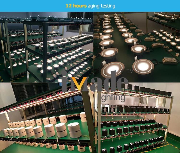 OEM/ODM Factory Indoor 6.2W for Showcase LED Down Light