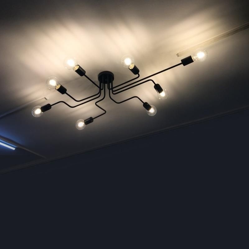 Vintage Retro Industrial Ceiling Lighting for Indoor Home Lighting Fixtures (WH-LA-12)