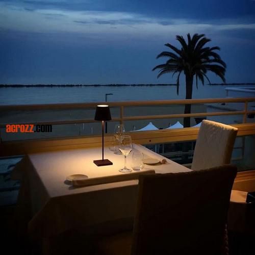 Battery Poldina Table Lamp LED Lighting New Design Modern Lamps Home Decor Desk Lamp