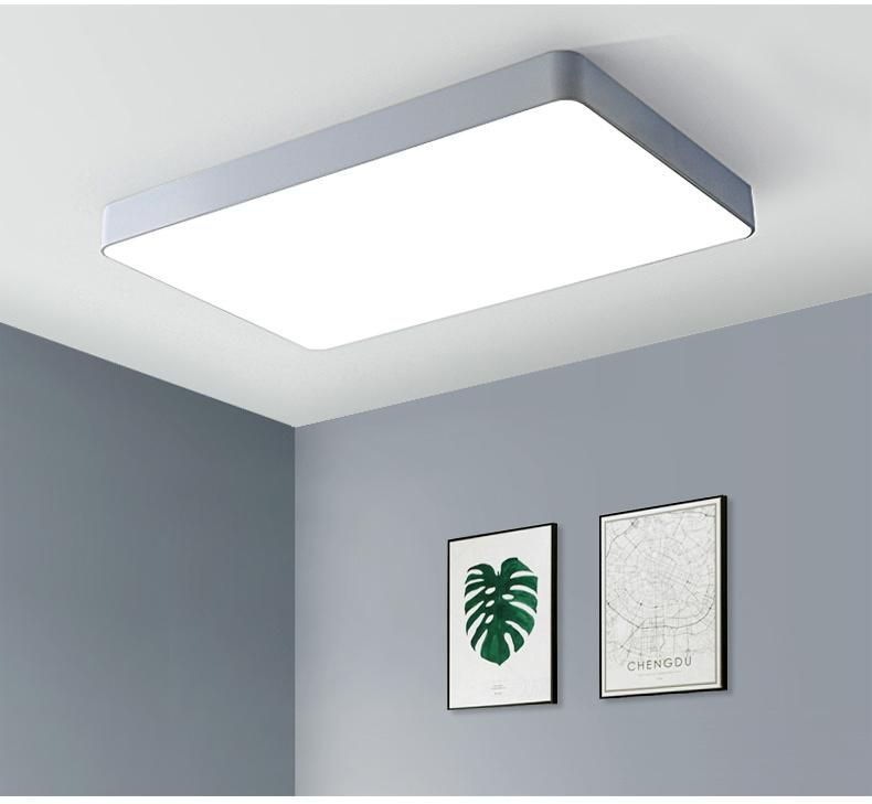 Modern Ceiling Lights for Living Room Bedroom Surface Ultra Thin LED Ceiling Light (WH-MA-02)