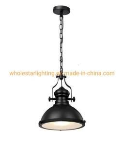 Metal Loft Pendant Lamp (WHP-773)