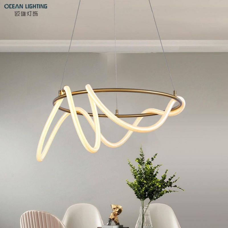 LED Simple Light Fixtues PVC and Metal Pendant Ceiling Lamp