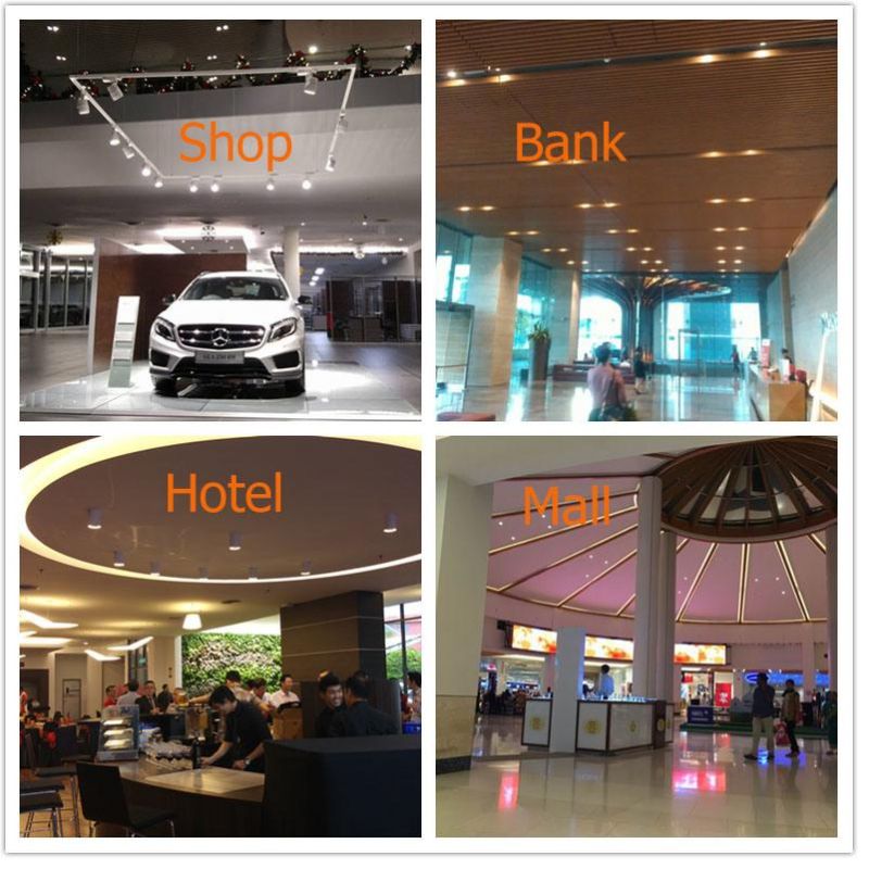 Commercial LED Light Focus Lamp Spot Lighting COB LED Track Light LED Ceiling Spot Down Light