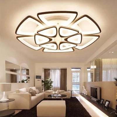 Adjustable Acrylic Ceiling Lights for Living Room Bedroom Kitchen Lighting Fixtures (WH-MA-58)