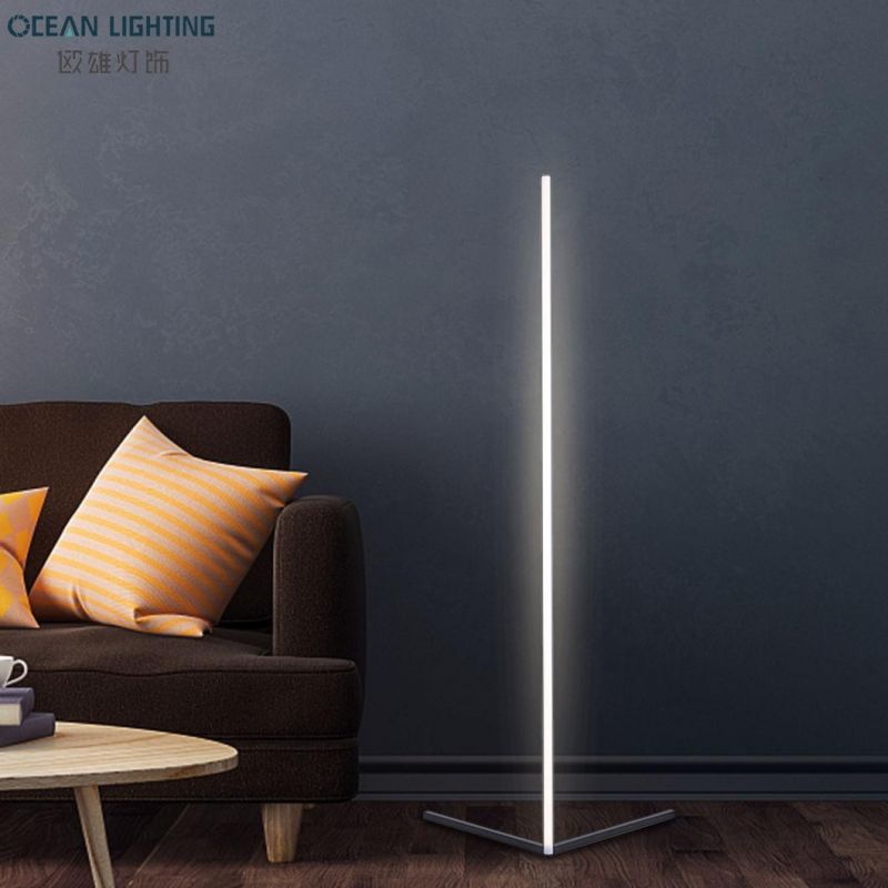 Hot-Sales Indoor Decor Modern Nordic Luxury Bedroom Living Room LED Lighting Floor Lamp
