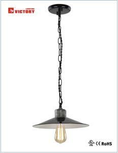 Industrial Indoor Decorative Chandelier Pendant Lamp with CE Approval