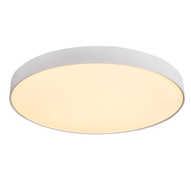 Nordic Smart Indoor LED Lighting Decorative Ceiling Light